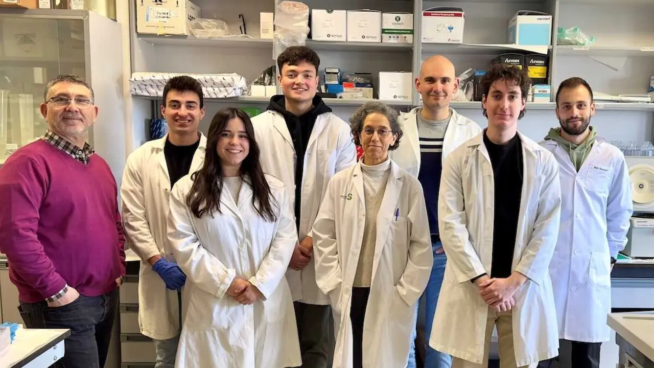 Un estudio liderado por UCLM y el CSIC identifica dos prote&iacute;nas clave en el desarrollo de los sarcomas