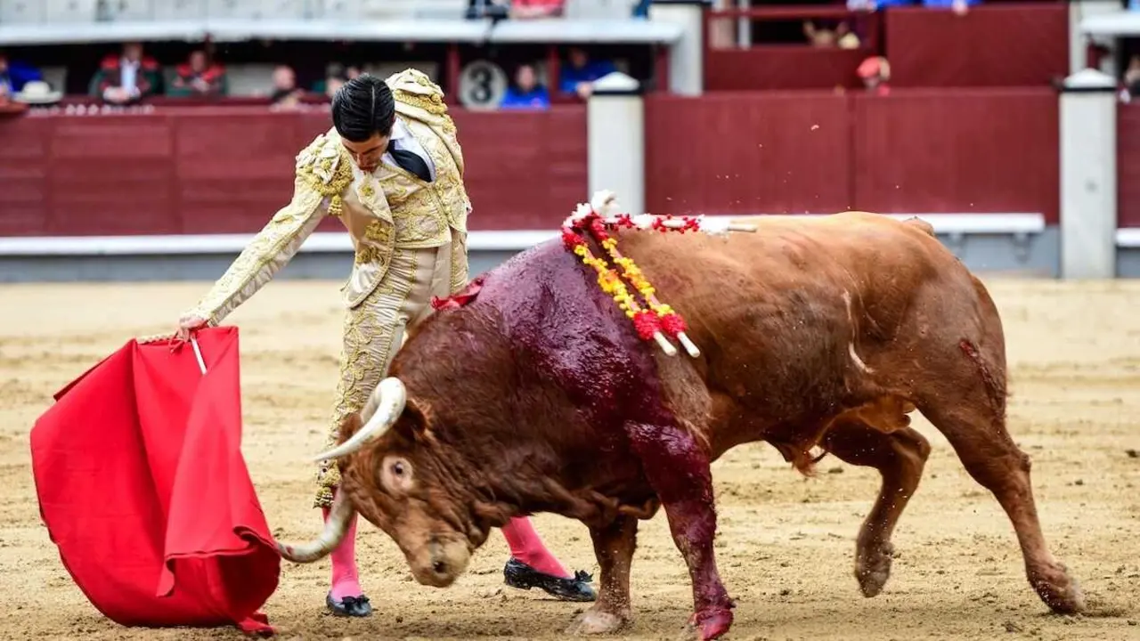 &Aacute;lvaro Lorenzo lidiar&aacute; seis toros en Toledo a beneficio de Parapl&eacute;jicos