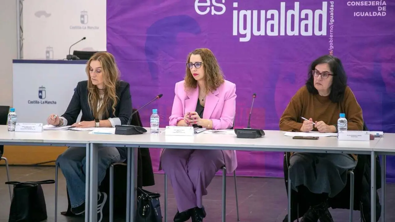 La consejera de Igualdad, Sara Sim&oacute;n, ha presidido la Mesa T&eacute;cnica contra la Trata con Fines de Explotaci&oacute;n Sexual, en la sede del Archivo Regional de Castilla-La Mancha