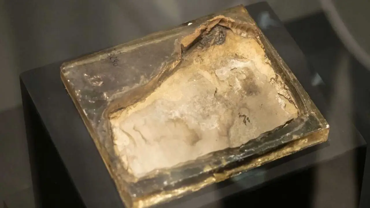 El nuevo f&oacute;sil hallado en el yacimiento conquense de Las Hoyas se exhibe ya en el Museo de Paleontolog&iacute;a de Castilla-La Mancha - EFE/&Aacute;lvaro del Olmo