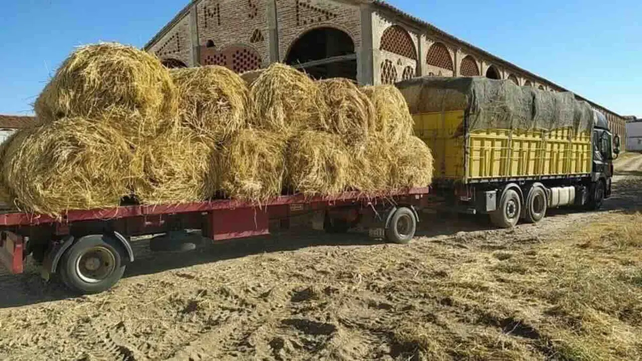 Muere un joven en Guadalajara aplastado por 400 kilos de paja