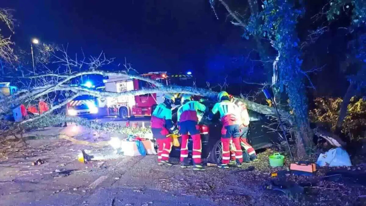 Imagen de archivo de un accidente de tr&aacute;fico con un turismo implicado tras salirse de la v&iacute;a y chocar contra un &aacute;rbol