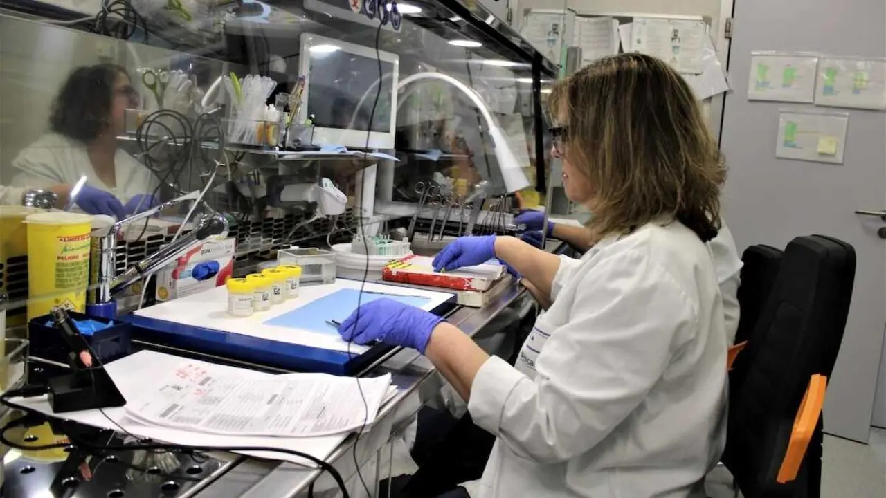 Nueva mesa de tallado agiliza el diagn&oacute;stico de biopsias en Alc&aacute;zar