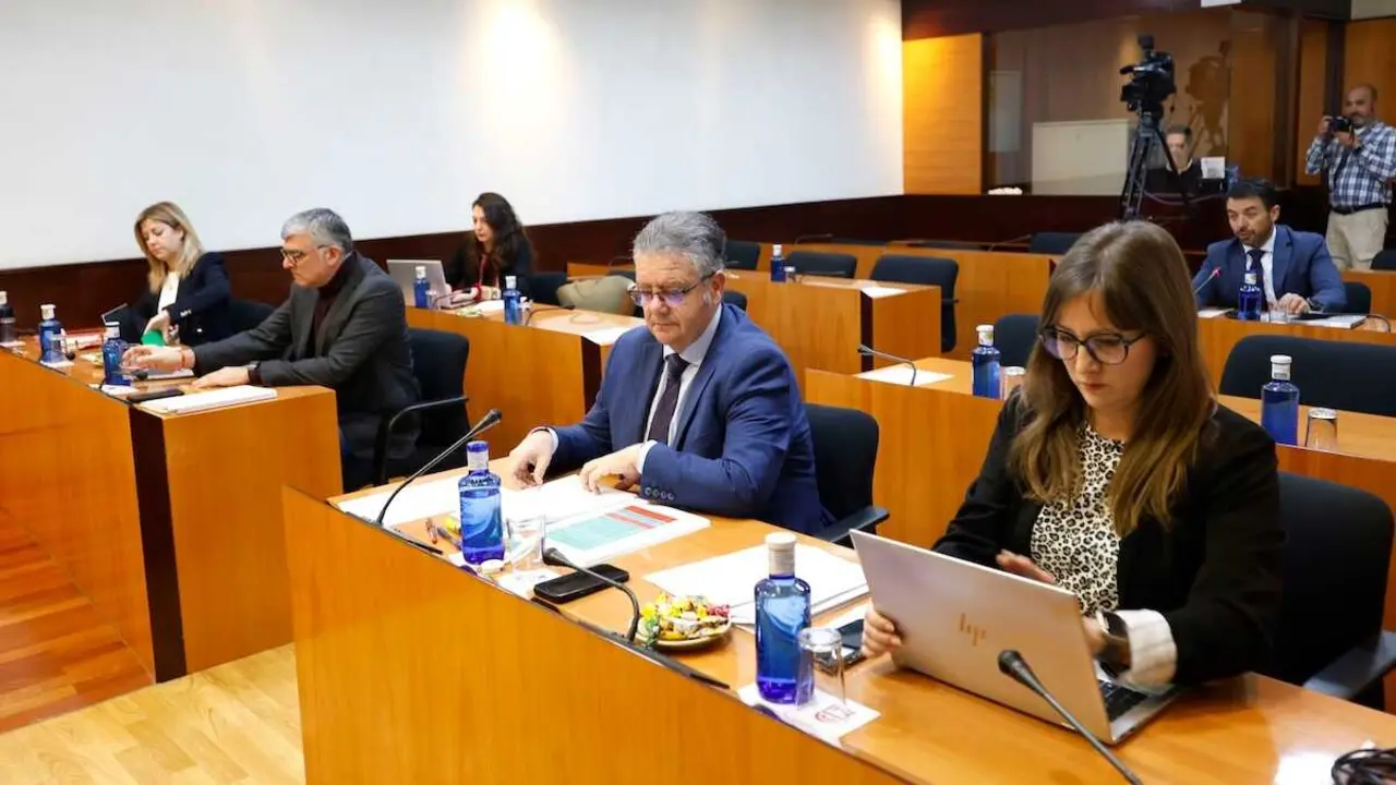 En la imagen un instante de la reuni&oacute; de la Comisi&oacute;n de Sanidad de las Cortes de Castilla-La Mancha