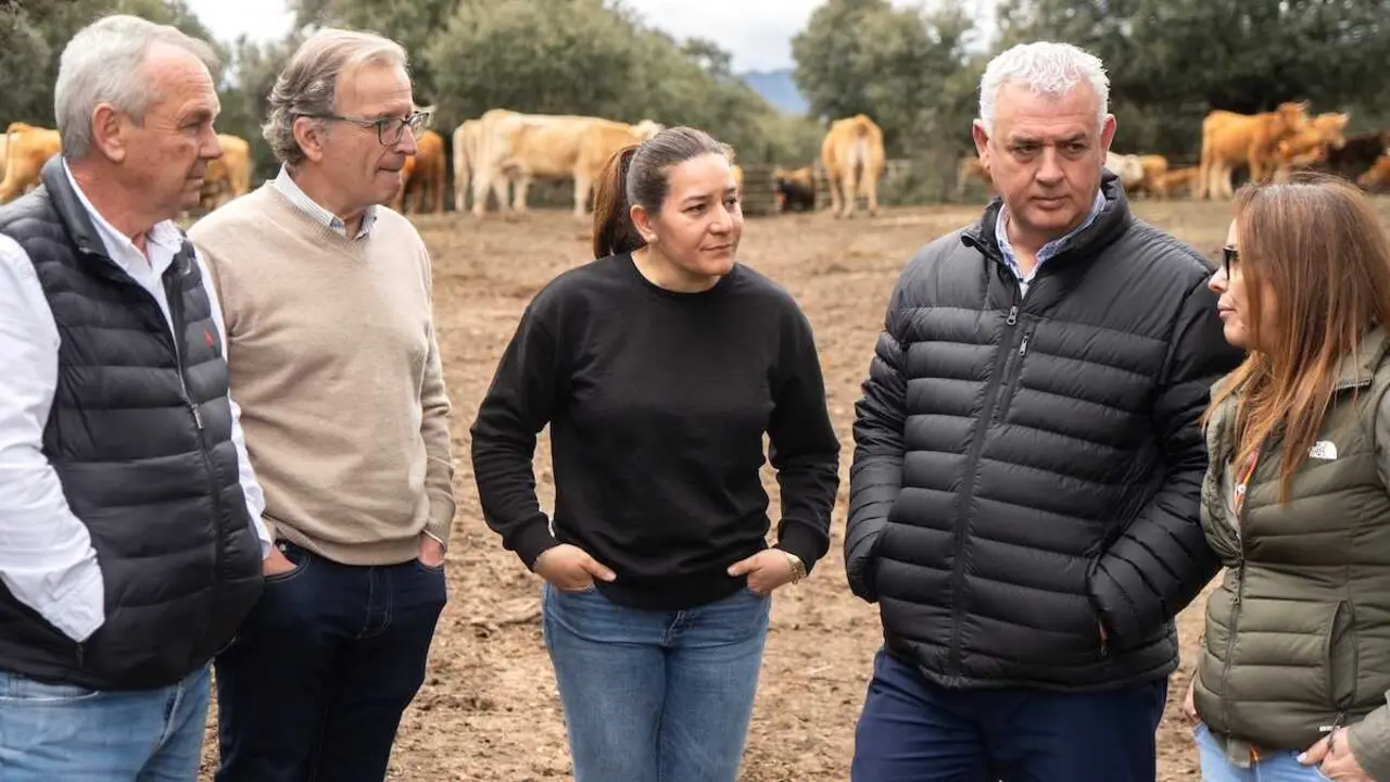 La Diputaci&oacute;n de Guadalajara destina 300.000 euros a collares de vallado virtual