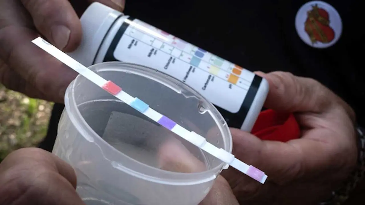 Greenpeace alerta: 309 municipios de Castilla-La Mancha beben agua con nitratos