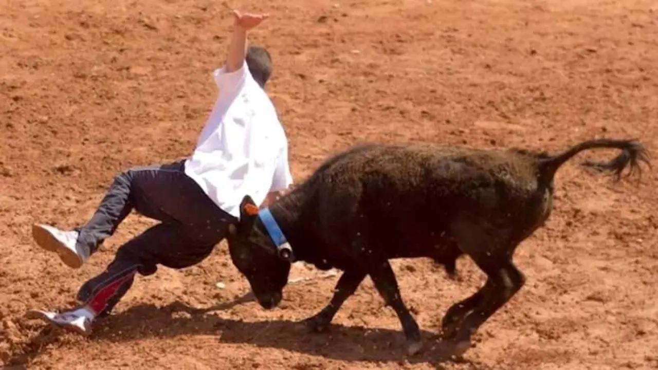 En la imagen de archivo una vaquilla embiste a un joven durante un festejo taurino