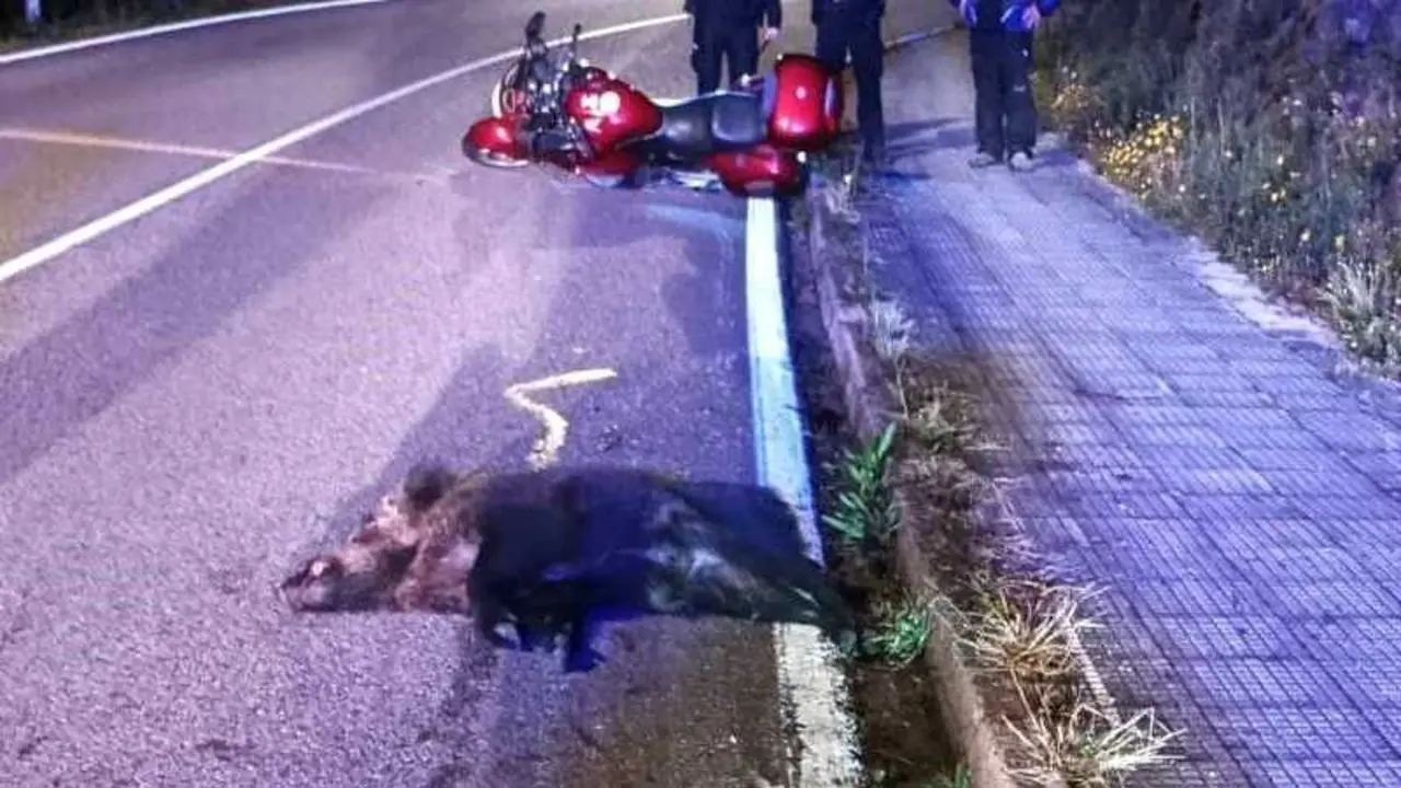 Imagen de archivo de un accidente con una motocicleta y un jabal&iacute; implicados