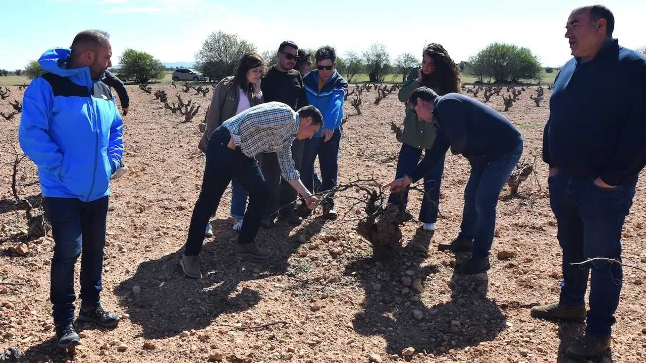 La Diputaci&oacute;n de Cuenca adelantar&aacute; el 75% de ayudas contra la plaga de conejos