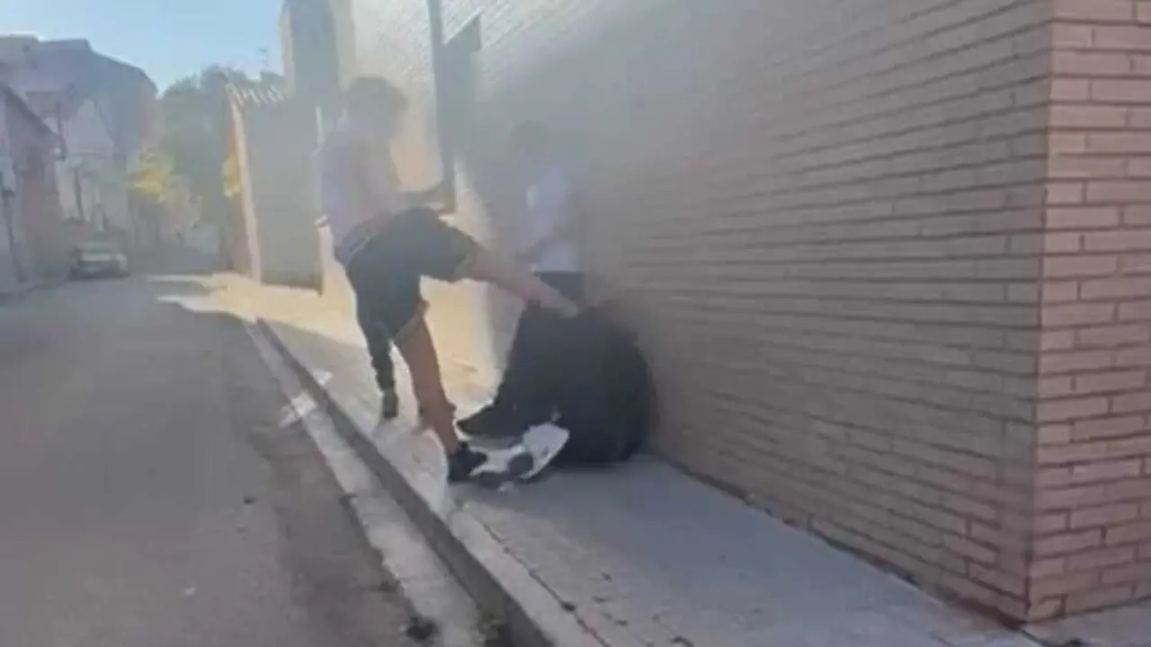 VIDEO. Agreden brutalmente a un menor a plena luz del d&iacute;a y lo graban