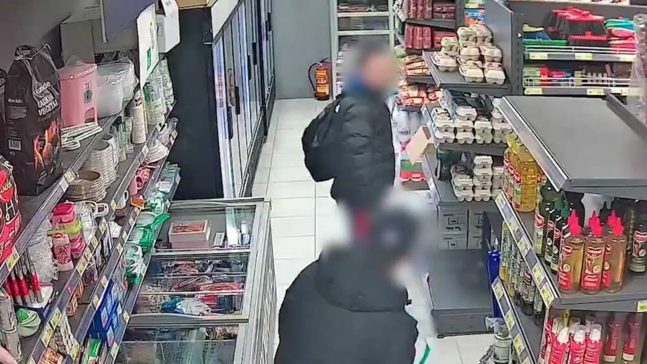 Cae un grupo criminal que saqueaba farmacias en La Sagra y Madrid