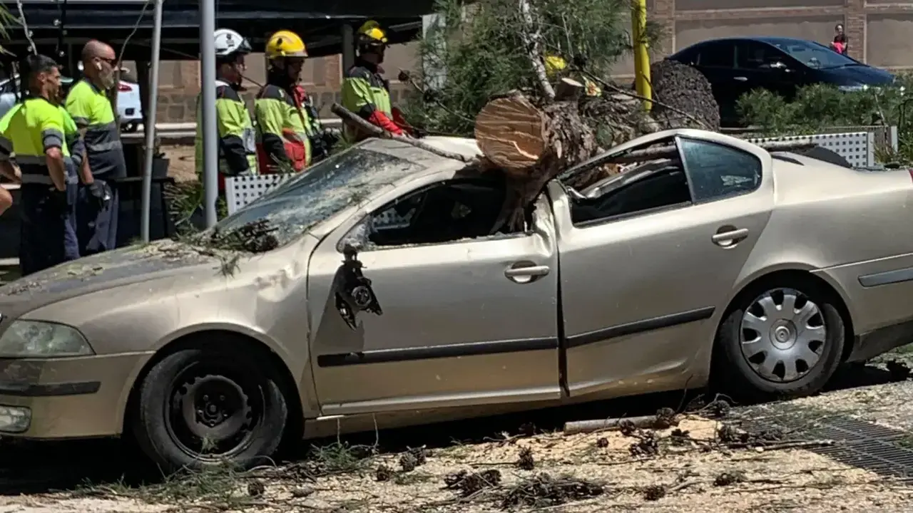 Dos heridos en Arg&eacute;s (Toledo), uno atrapado, tras caer un &aacute;rbol sobre el coche en el que se encontraban