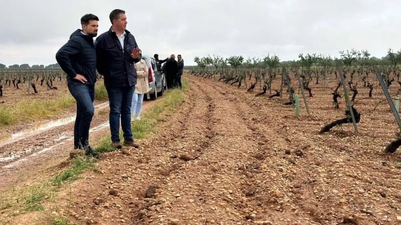 La Diputaci&oacute;n de Albacete resuelve ayudas para caminos por 3 millones