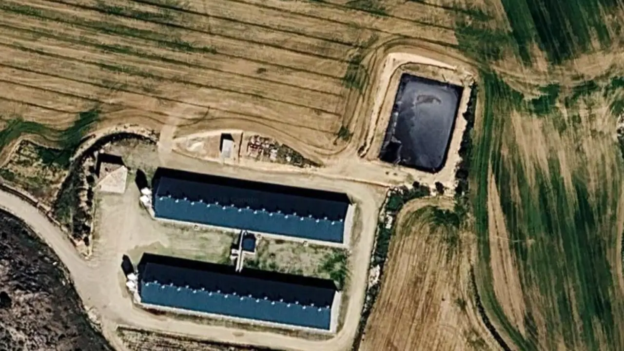 Rechazo a la macrogranja de La Ventosa (Cuenca): 58 cerdos por habitante