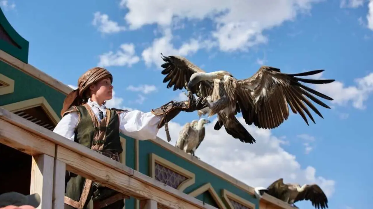 En la imagen uno de los espect&aacute;culos de cetrer&iacute;a en el parque de Puy du Fou de Toledo