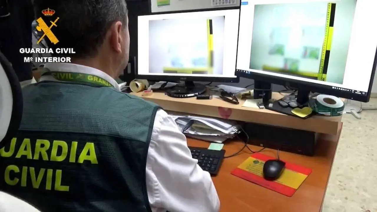 Un joven de 24 a&ntilde;os cae en Guadalajara tras manipular facturas