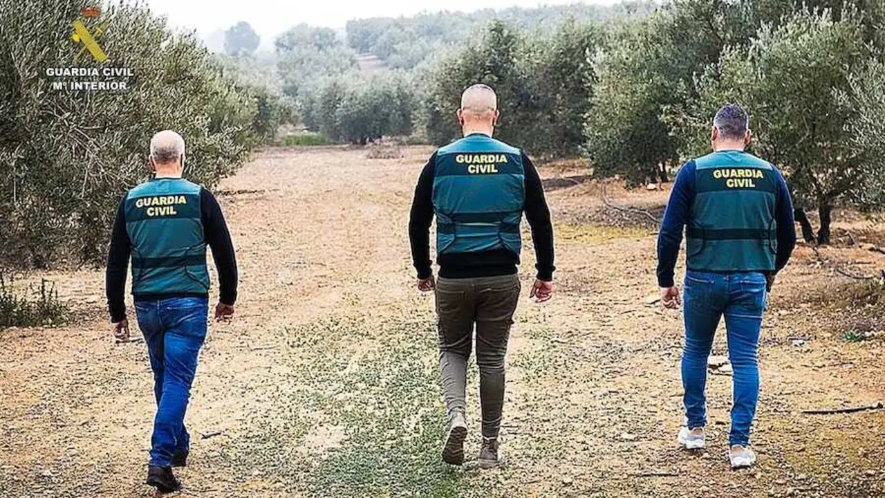 Hallan un arsenal de armas oculto entre Toledo y Colmenar Viejo