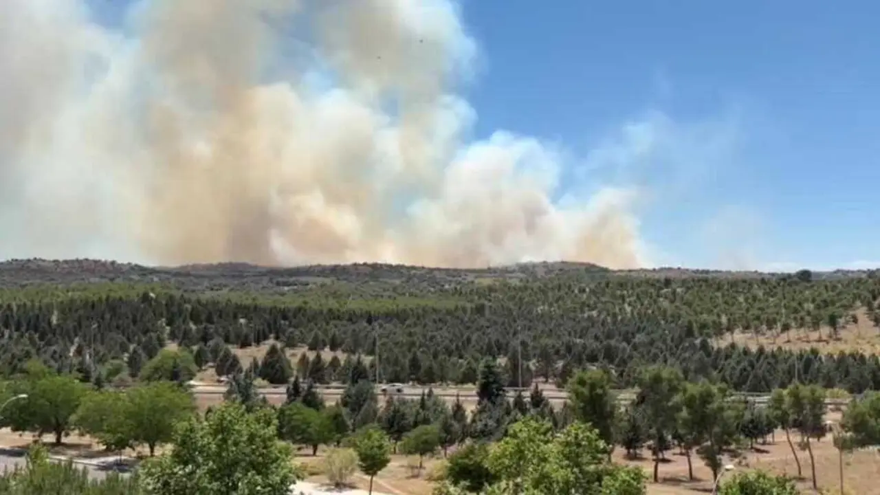 Un incendio de nivel 2 en terrenos de la Academia de Infanter&iacute;a de Toledo obliga a desalojar la urbanizaci&oacute;n Las Nieves de Nambroca