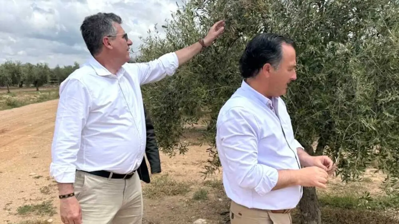 El presidente de Vox en las Cortes de Castilla-La Mancha, David Moreno, en una imagen de rchivo en su visita a un olivar