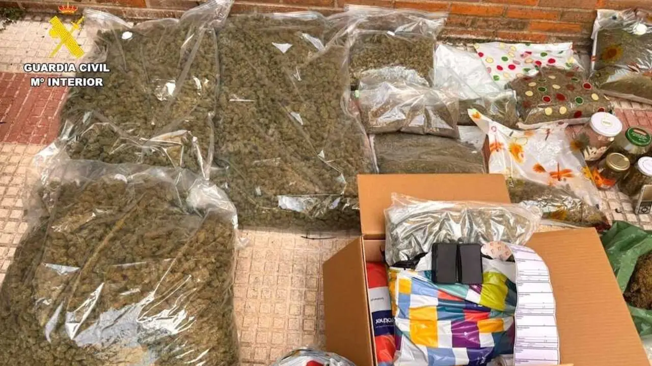 Cae una red que enviaba marihuana por paqueter&iacute;a desde El Pozo (Guadalajara)