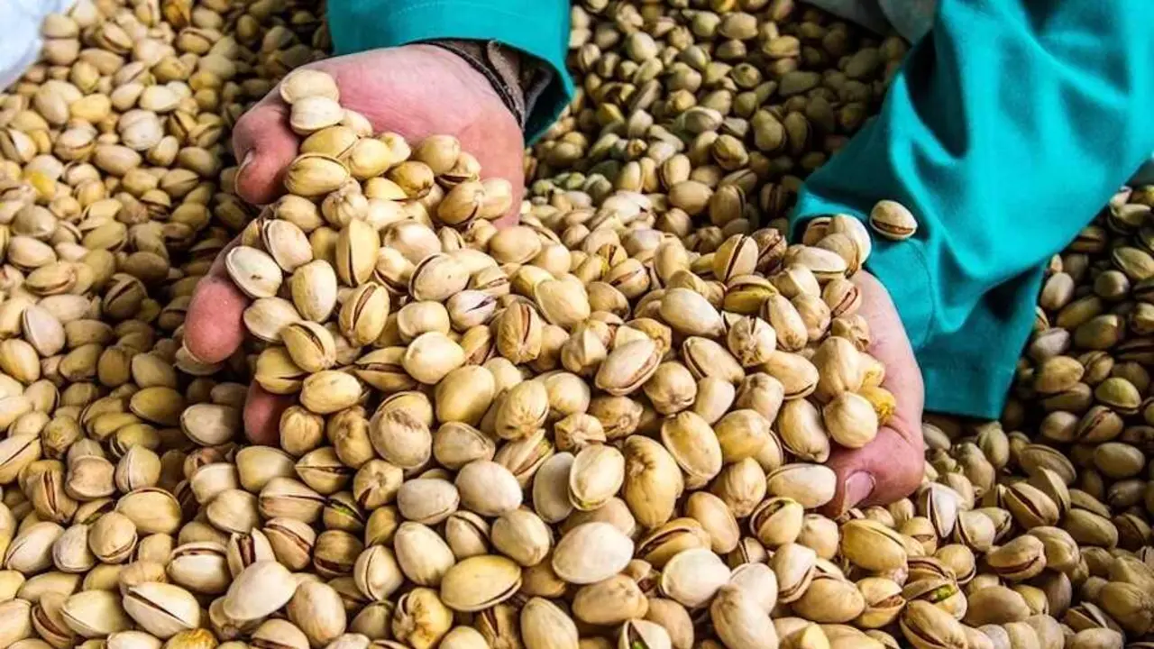 Instalaciones de la planta de procesado de pistacho que la empresa 'Pistachos del sol' tiene en el Pol&iacute;gono 'La Vega', de Torralba de Calatrava (Ciudad Real), en una imagen de archivo - EFE/ Mariano Cieza