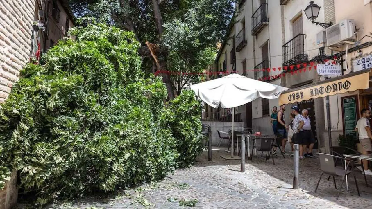 Una gran rama cae en Toledo junto a una terraza sin causar heridos - EFE/ &Aacute;ngeles Visd&oacute;mine