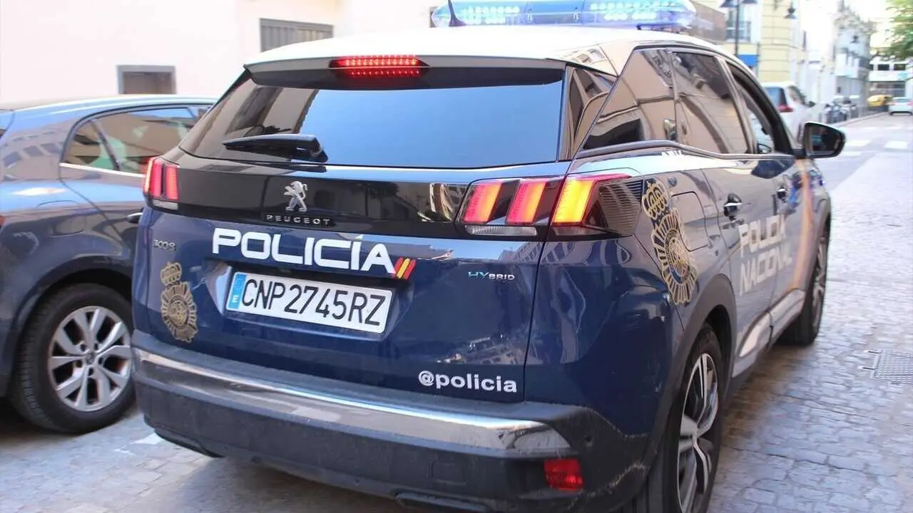 Polic&iacute;a Nacional, patrulla, agentes, reyerta, detenido
