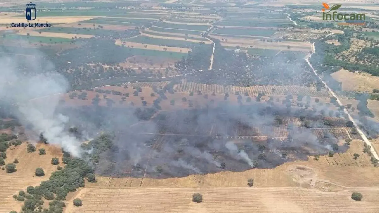 Trabajan en la extinci&oacute;n de un incendio forestal en Malpica de Tajo (Toledo)