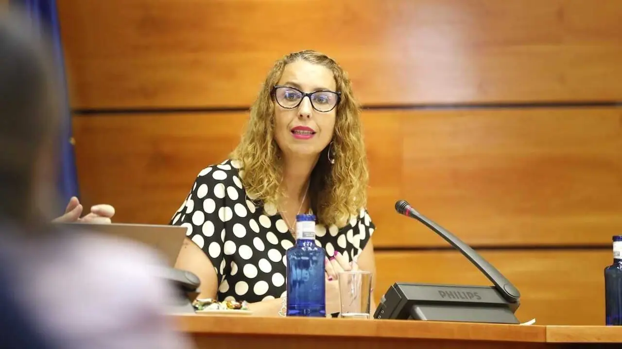 La consejera de Igualdad de Castilla-La Mancha, Sara Sim&oacute;n, durante su comparecencia este mi&eacute;rcoles en la Comisi&oacute;n de Igualdad del parlamento regional.