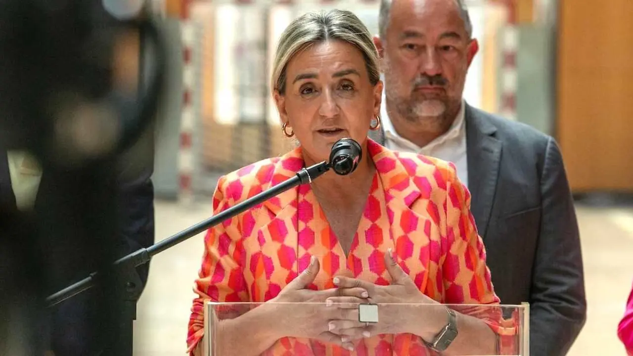 La ministra de Educaci&oacute;n, Cultura y Deportes, Milagros Tol&oacute;n, este viernes en declaraciones a los medios en Toled.