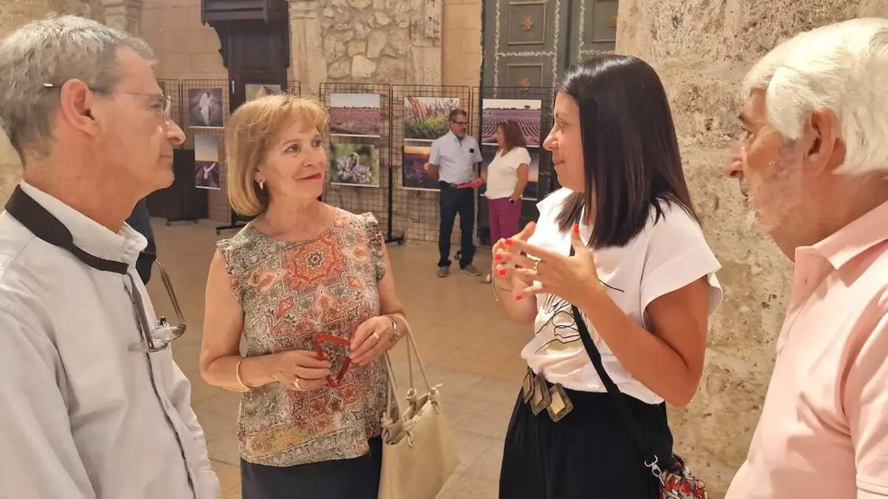 La consejera de Bienestar Social, B&aacute;rbara Garc&iacute;a Torijano, ha participado en el Comit&eacute; Auton&oacute;mico de Cruz Roja Castilla-La Mancha, celebrado este s&aacute;bado en Brihuega (Guadalajara).