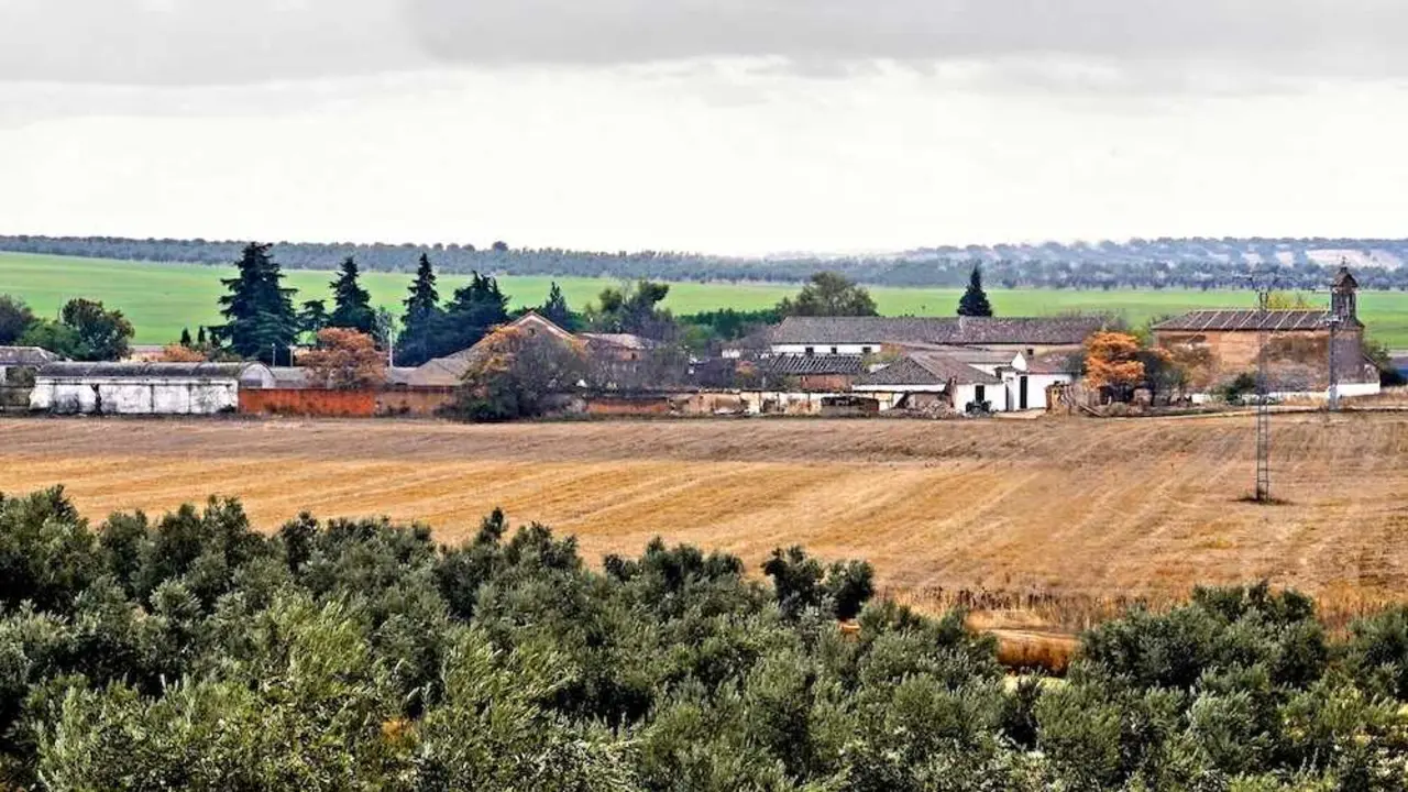 Vista panor&aacute;mica del municipio de Ill&aacute;n de Vacas (Toledo)