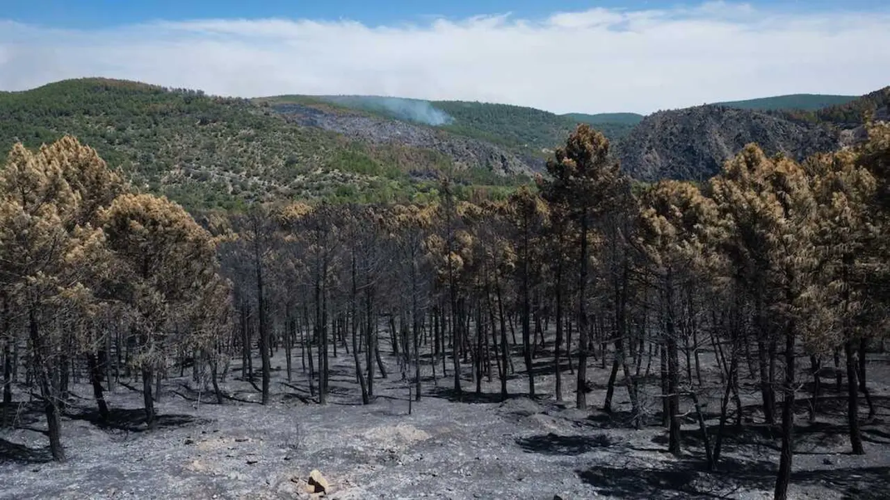 Superficie forestal quemada durante el incendio forestal de La Mierla (Guadalajara) - EP/Mateo Lanzuela