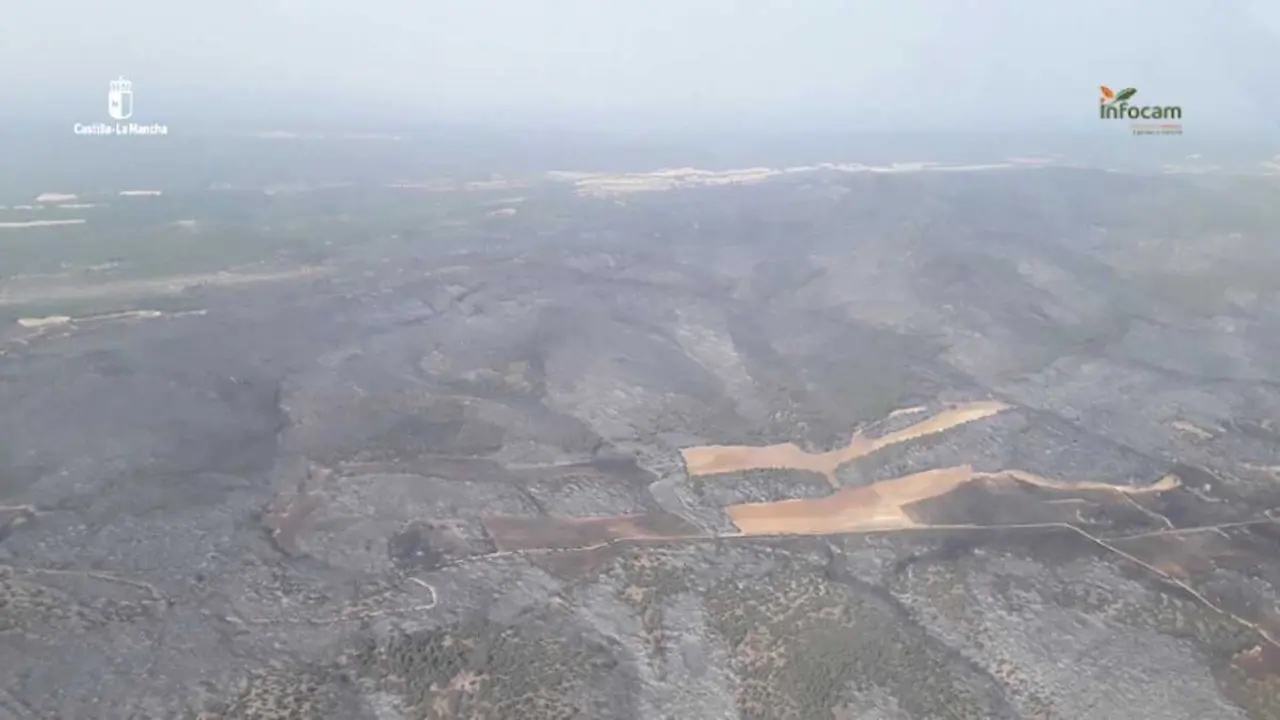 Vista a&eacute;rea de una de las zonas calcinadas por el incendio forestal de Salas (Guadalajara) captada por el INFOCAM.
