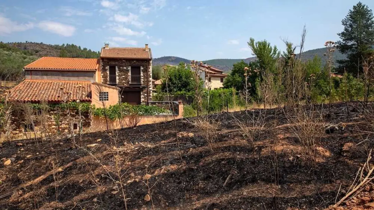 Terreno quemado por el incendio forestal de La Mierla (Guadalajara) - EP/Juanma Jim&eacute;nez
