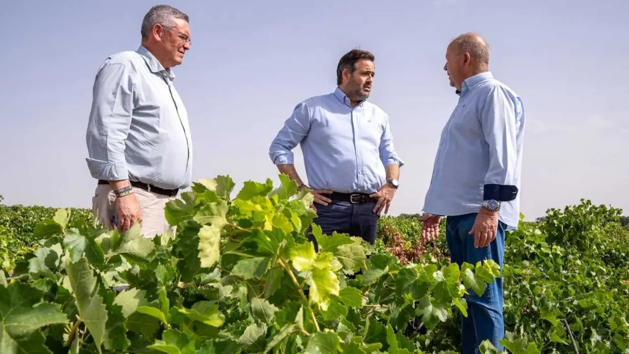 El presidente del PP de Castilla-La Mancha, Paco N&uacute;&ntilde;ez, en su visita a una explotaci&oacute;n agr&iacute;cola de Tomelloso (Ciudad Real)