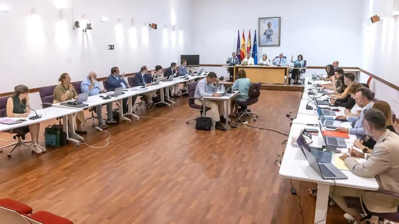 En la imagen un instante del Pleno del Ayuntamiento de Guadalajara celebrado este viernes en el Consistorio.