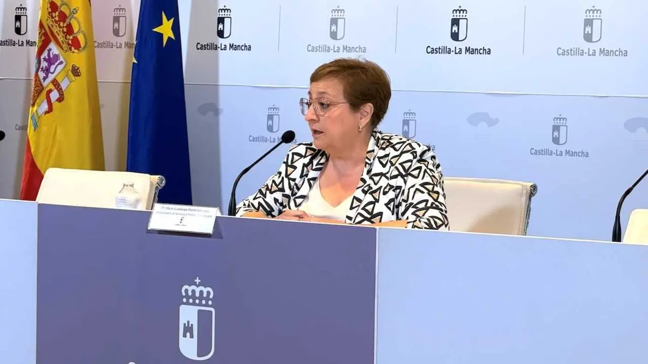 La viceconsejera de Servicios y Prestaciones Sociales del Gobierno de Castilla-La Mancha, Guadalupe Mart&iacute;n, durante la rueda de prensa que ha ofrecido.