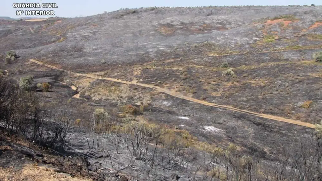 Dos investigados por provocar el incendio forestal de Cabezarrubias (Ciudad Real)