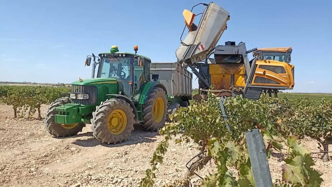 La vendimia 2026 arranca en Ciudad Real con una merma de cosecha