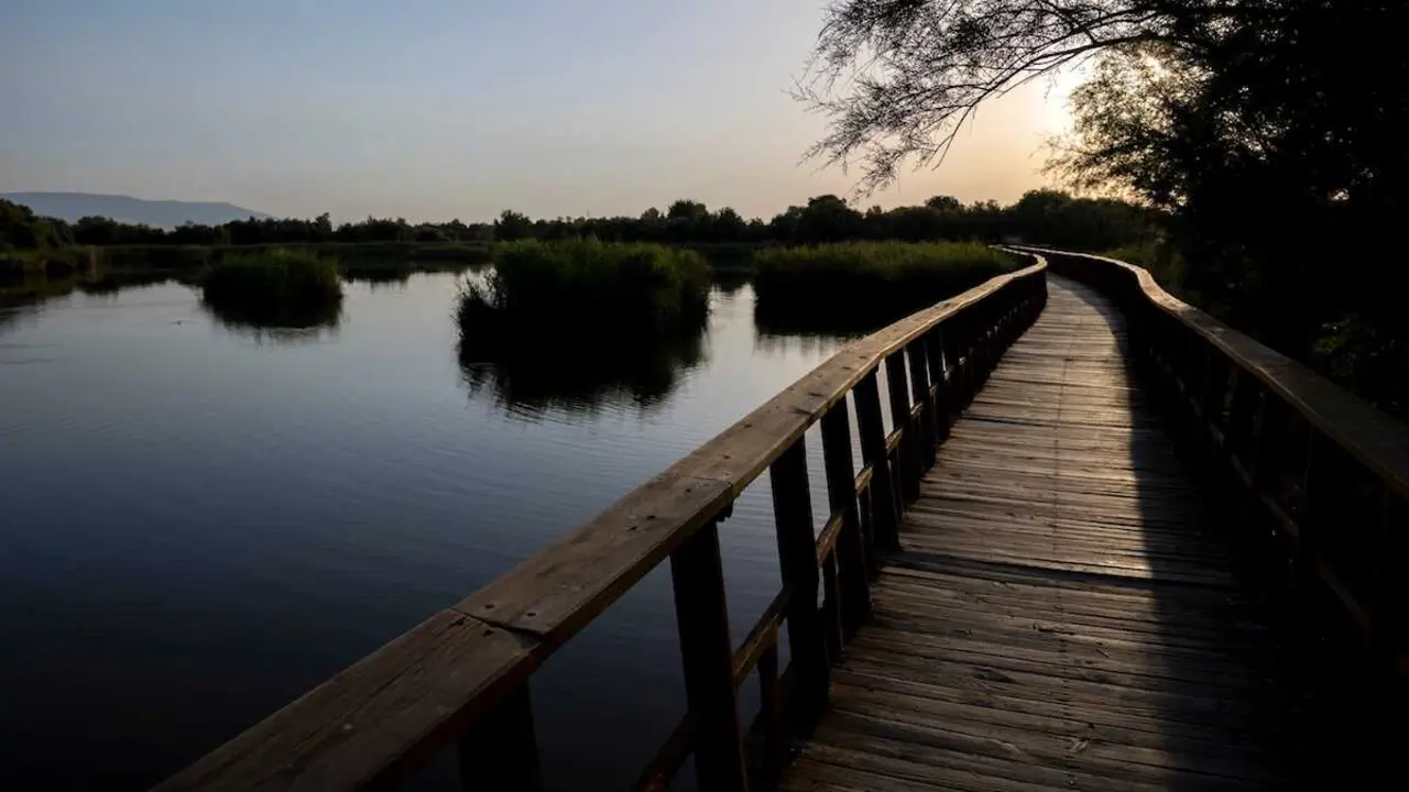 Vista del amanecer este jueves en las Tablas de Daimiel (Ciudad Real) - EFE/Jesus Monroy