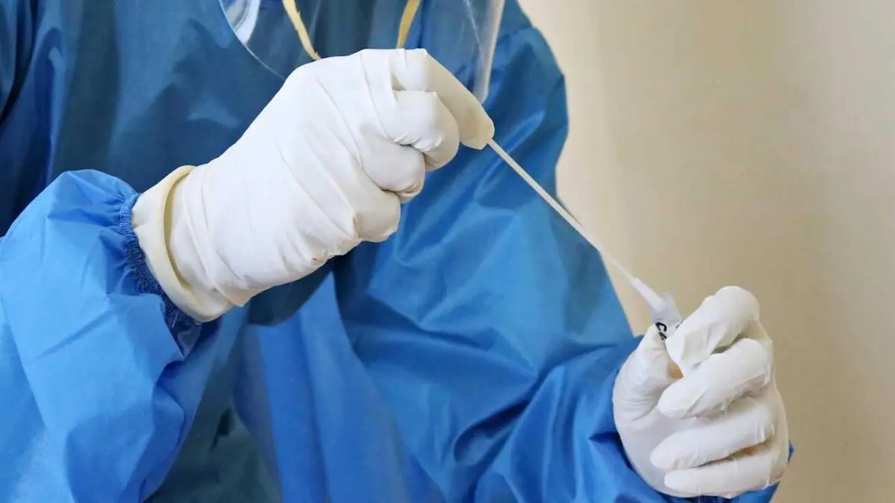 hantavirus, coronavirus, PCR, prueba, asilamiento, virus, salud p&uacute;blica, covid,