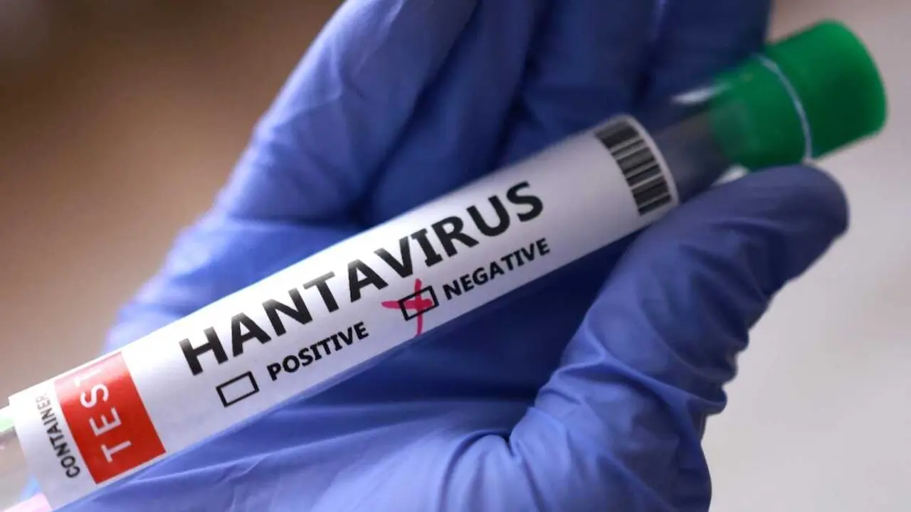 Sanidad transmite calma por el aislamiento por hantavirus en Cuenca