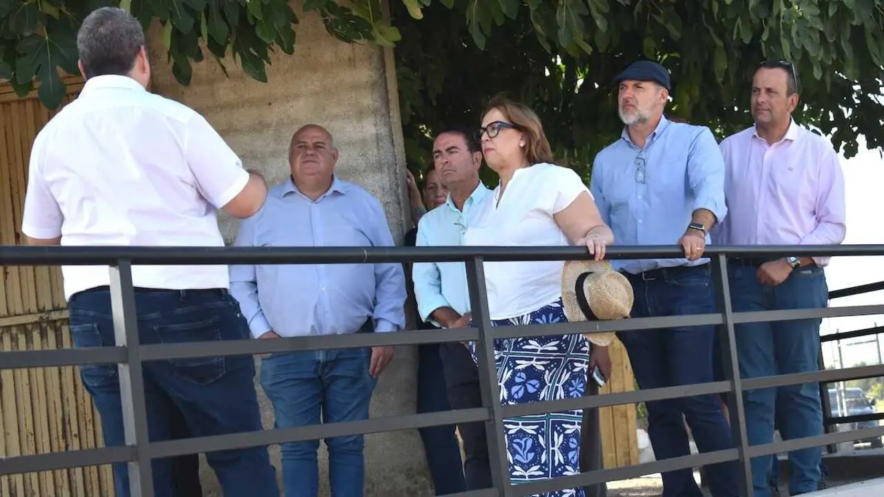 La viceconsejera de Cultura y Deportes, Carmen Teresa Olmedo, este martes durante su visita a la villa romana 'El Saucedo', en Talavera la Nueva (Toledo).
