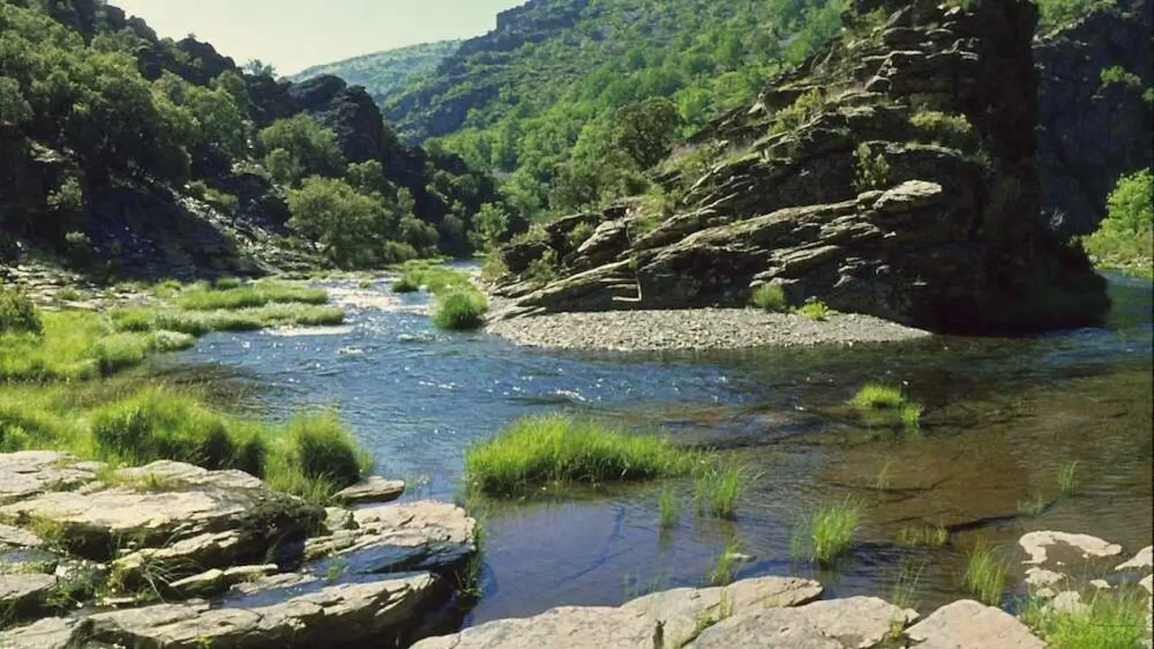 Madrid reclama agua del r&iacute;o Sorbe y pone en alerta a Guadalajara