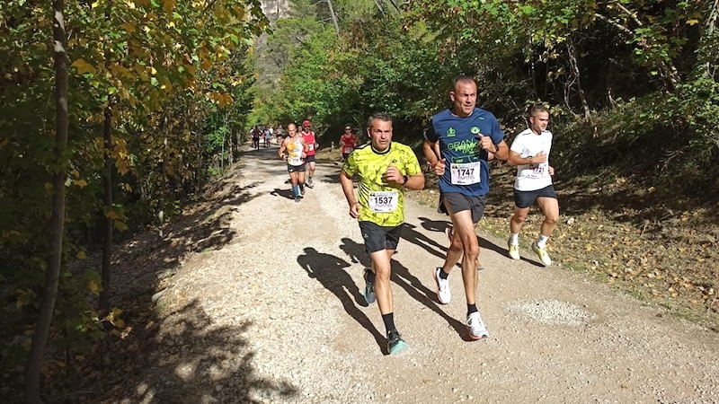 La Diputación de Cuenca ayudará con 162.000 euros a la organización de circuitos deportivos