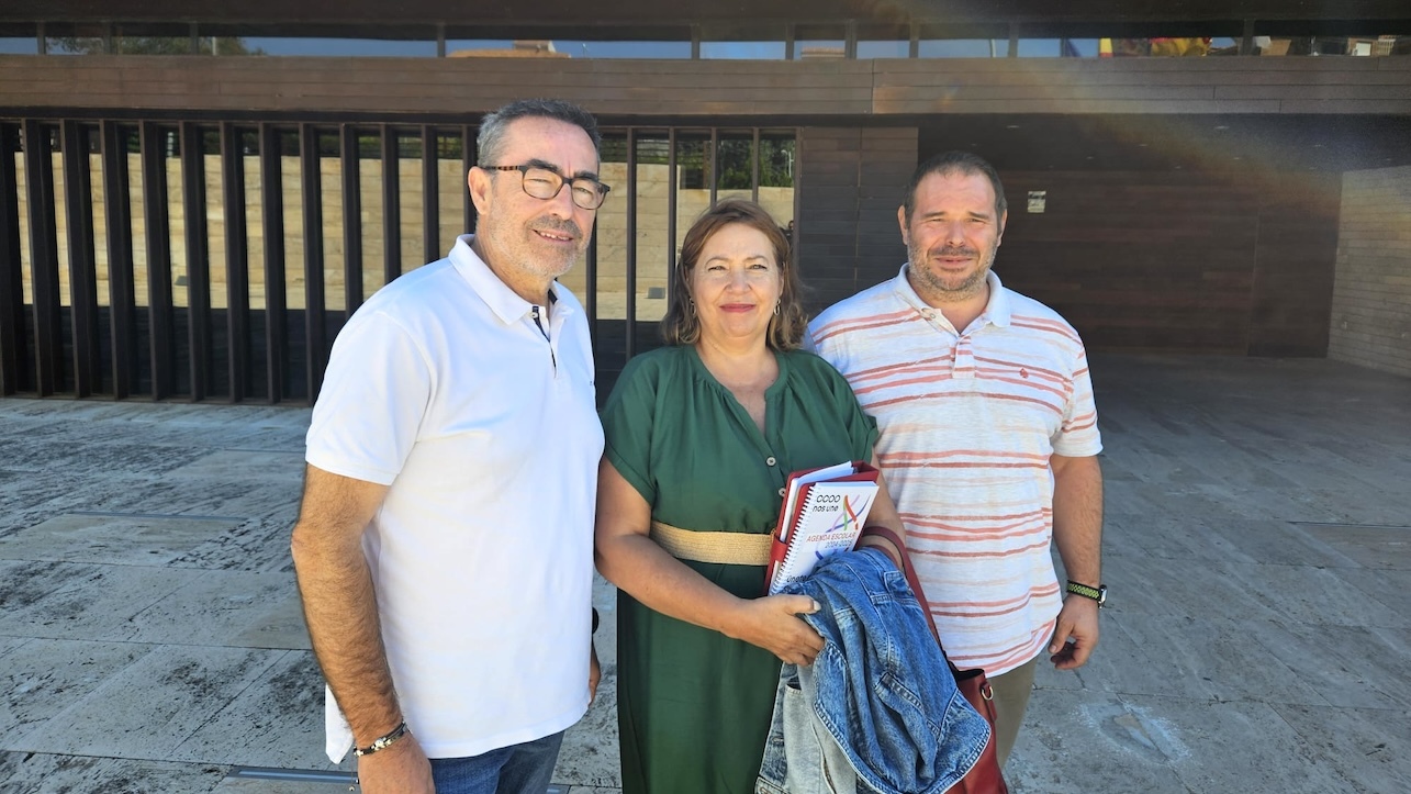 Los dirigentes de CCOO este viernes a las puertas de la Consejería de Bienestar Social en Toledo tras la reunión mantenida con la viceconsejera de Bienestar Social y con la directora general de Infancia y Familia