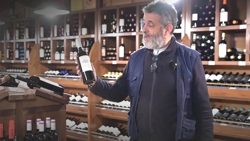 Más de medio millar de referencias de vino ilustran la estantería de Bodega Carlos Moreno, icono guadalajareño