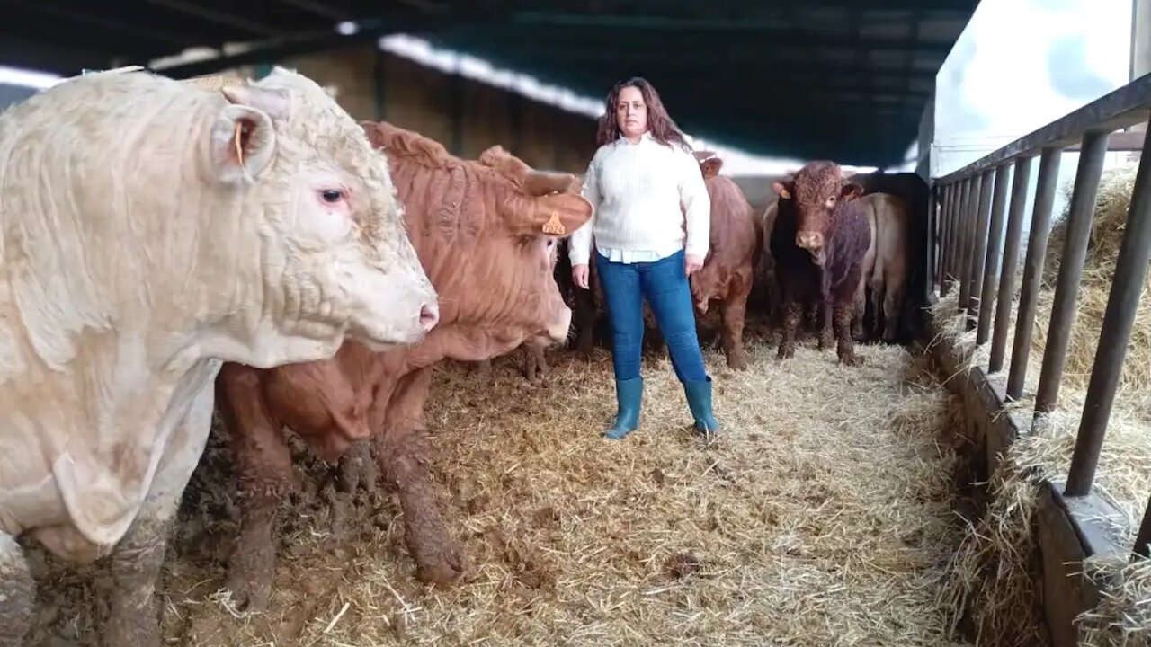 La ganadera Mónica Castellanos en su explotación de vacuno en Navahermosa (Toledo) - EFE/Cedida por Mónica Castellanos