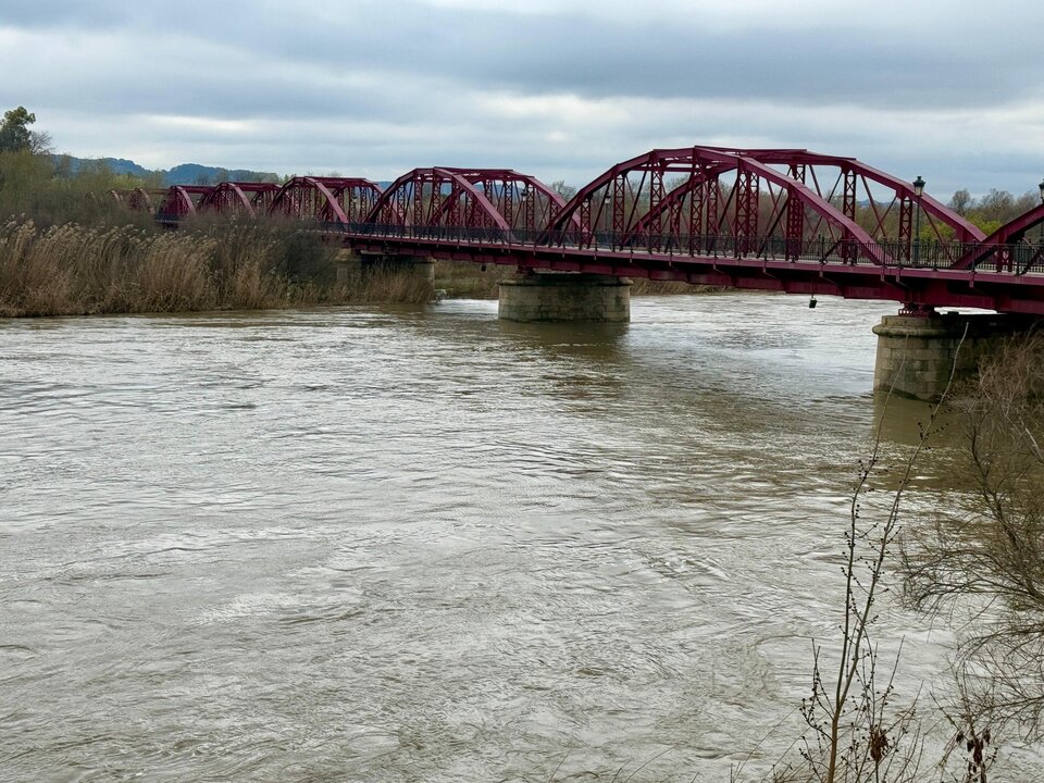 Imagen del río Tajo este jueves a su paso por la ciudad de Talavera de la Reina (Toledo)